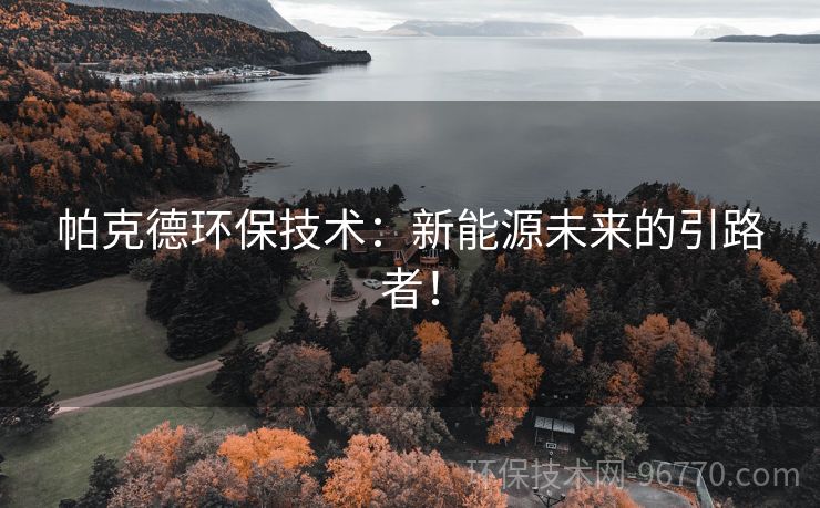 帕克德環(huán)保技術(shù)：新能源未來的引路者！