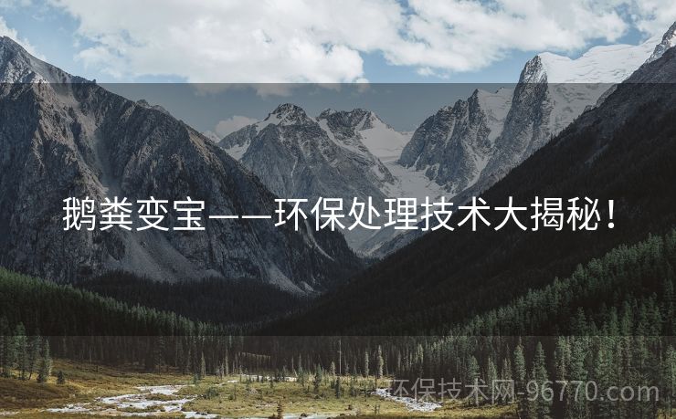 鵝糞變寶——環(huán)保處理技術(shù)大揭秘！