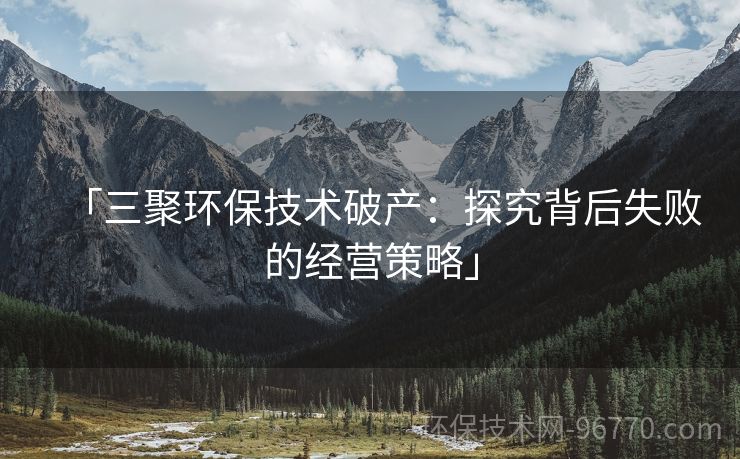 「三聚環(huán)保技術(shù)破產(chǎn)：探究背后失敗的經(jīng)營(yíng)策略」