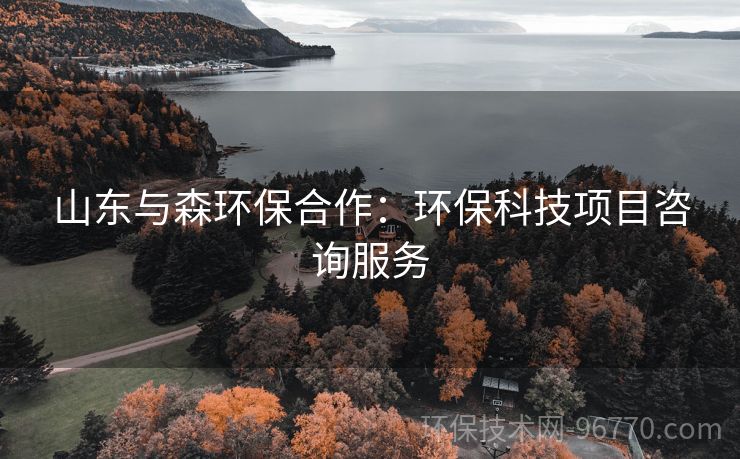 山東與森環(huán)保合作：環(huán)?？萍柬?xiàng)目咨詢服務(wù)